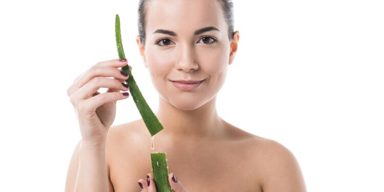 Plantas que atraem saúde e bem-estar, segundo a astrologia