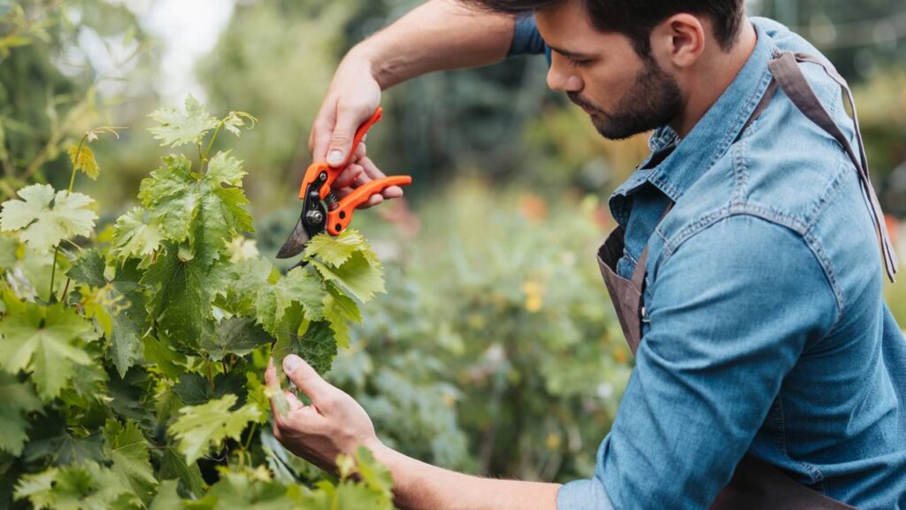 O segredo por trás dos jardins mais floridos da primavera começa no outono
