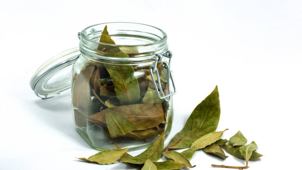 Onde colocar folhas de louro em sua casa para atrair abundância, segundo Feng Shui