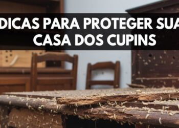Dicas para proteger sua casa dos cupins em móveis de madeira sem veneno forte