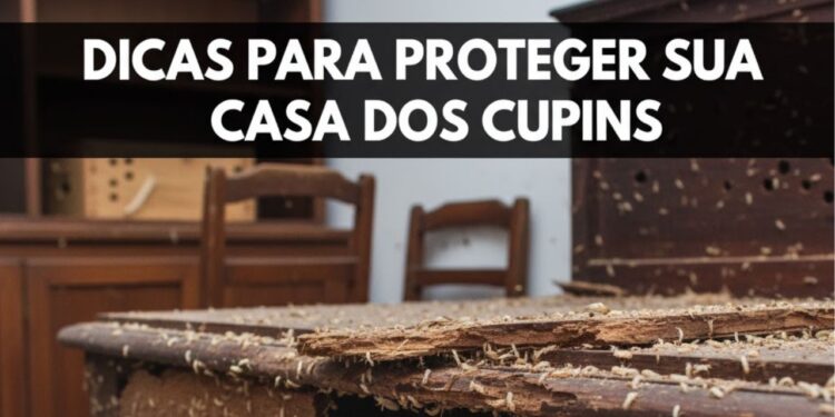 Dicas para proteger sua casa dos cupins em móveis de madeira sem veneno forte