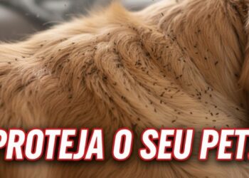 Aprenda a reconhecer os primeiros sinais de pulgas e evite um surto no seu pet