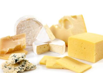 Como conservar queijo para mantê-lo fresco por mais tempo