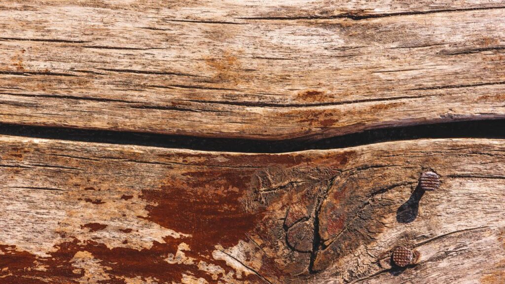 Dicas para proteger sua casa dos cupins em móveis de madeira sem veneno forte