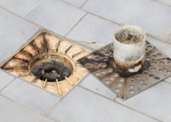 Borrife essa mistura no ralo e nunca mais verá baratas subindo em casa