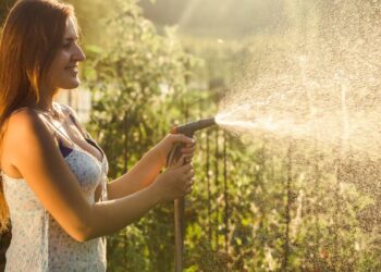 5 plantas místicas com energias espirituais poderosas para sua casa