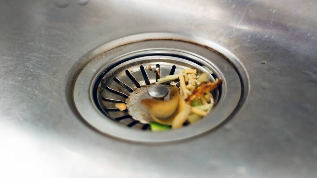 O erro que atrai moscas para dentro de casa sem você notar