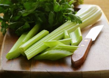 Dicas para conservar o salsão na geladeira para manter o sabor por semanas