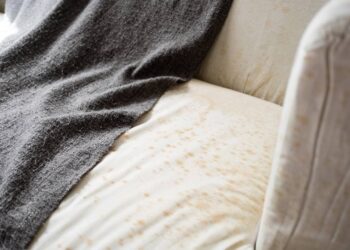 Truque caseiro para eliminar o mofo do sofá rapidamente