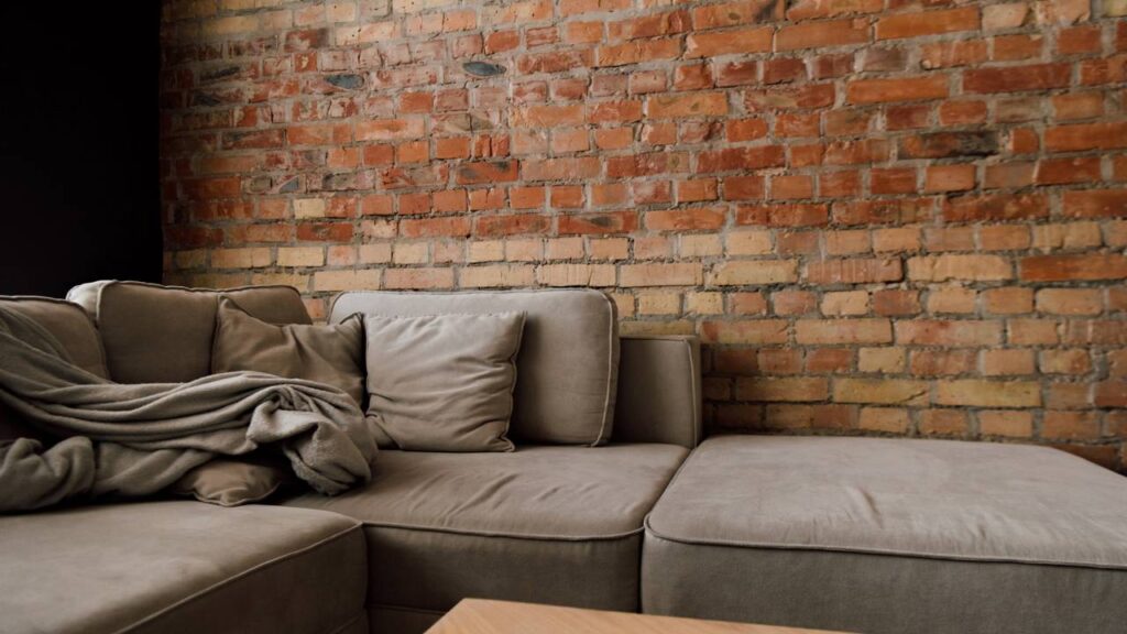 Passos essenciais para manter seus móveis livres de pragas o ano todo