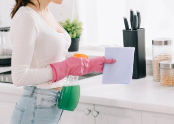 Borrife estas misturas na cozinha e nunca mais verá moscas em volta da comida