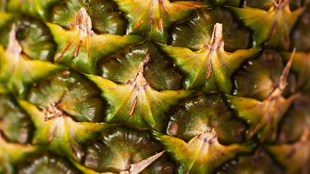 O que acontece com seu corpo ao beber suco da casca do abacaxi