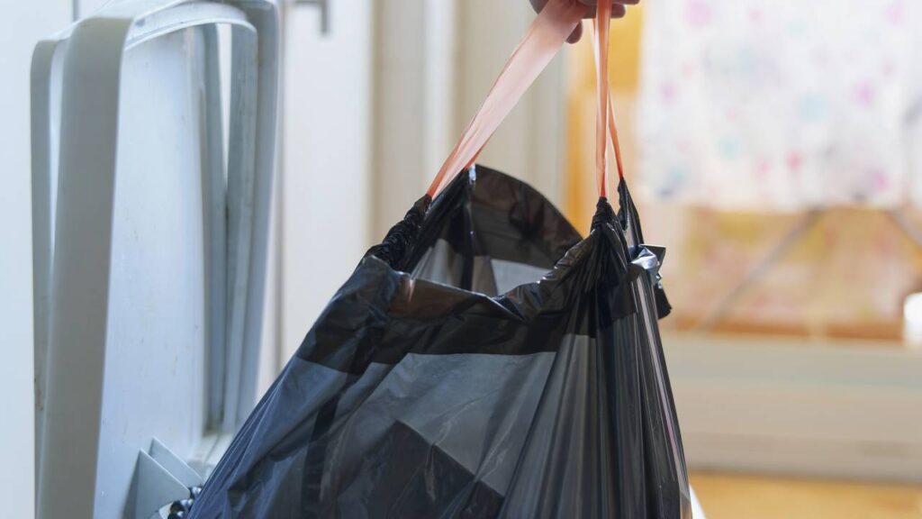 Os piores hábitos que fazem as moscas invadirem sua casa e como evitá-los