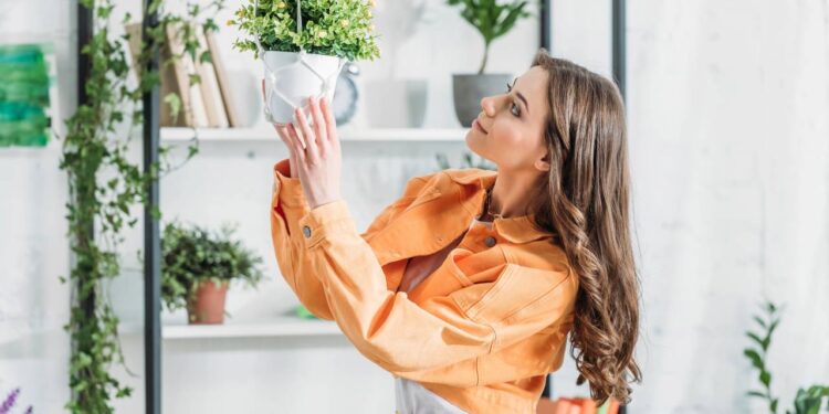 Como absorver as boas energias das plantas