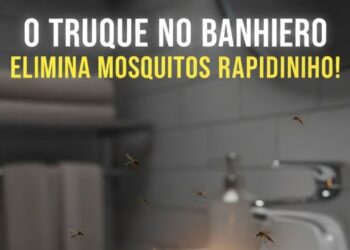 O truque no banheiro que elimina os mosquitos rapidinho