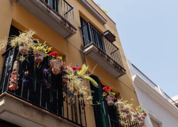 Flores que transformaram a varanda em um jardim encantado na primavera