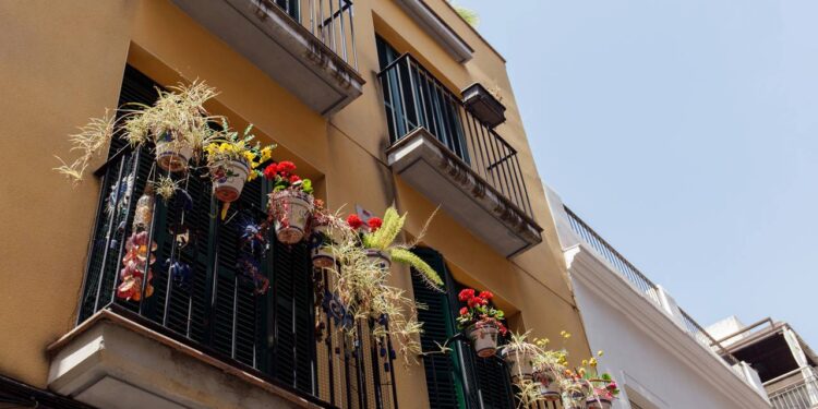 Flores que transformaram a varanda em um jardim encantado na primavera