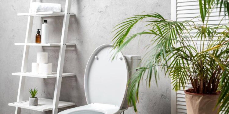 Esta mistura simples faz o vaso sanitário brilhar como novo