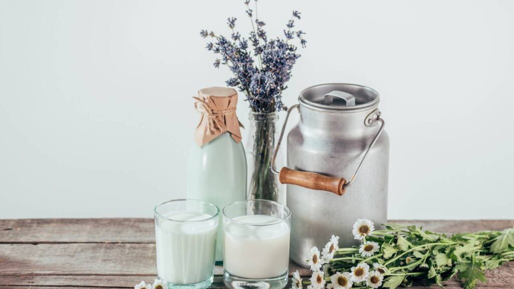 Use vasos desta planta para repelir traças e mariposas