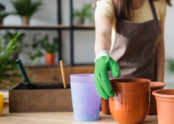 3 frutas que crescem rápido em vasos e garantem colheita o ano todo