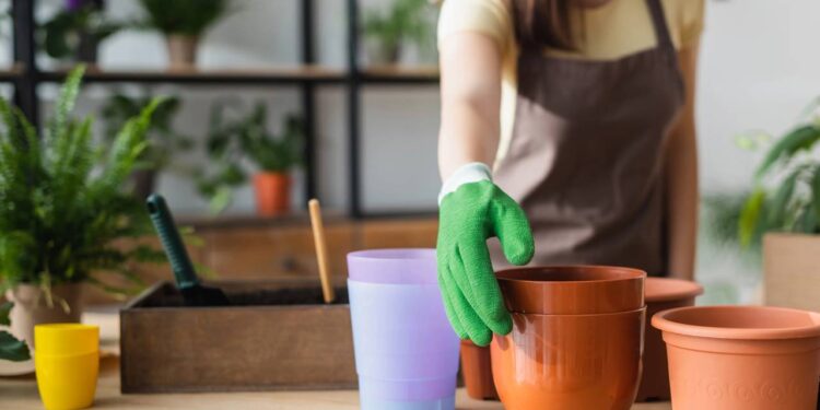 3 frutas que crescem rápido em vasos e garantem colheita o ano todo