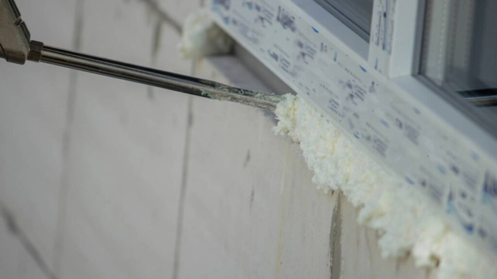 O segredo para nunca mais ver baratas na cozinha