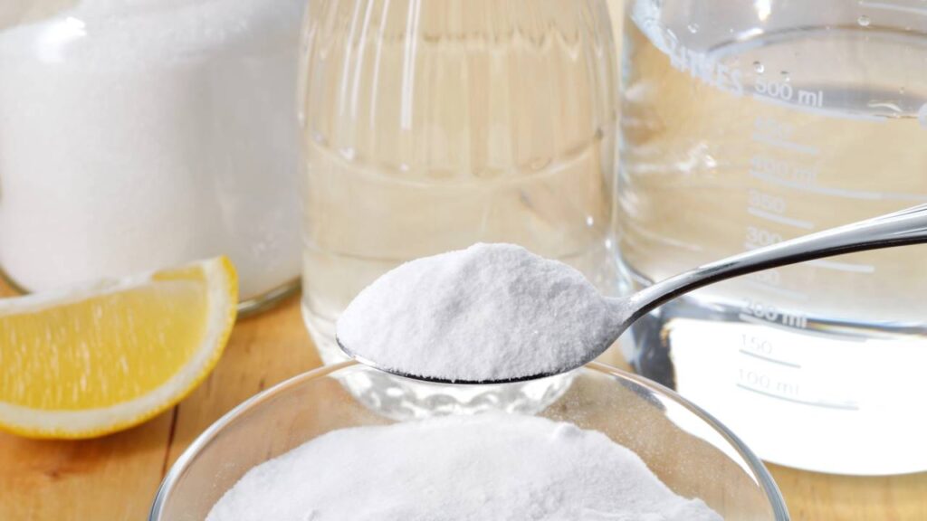 Acabe de vez com o cheiro ruim e os insetos na lavadora