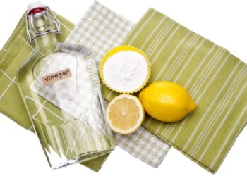 Comecei a usar vinagre na limpeza do banheiro, e agora ele está brilhando