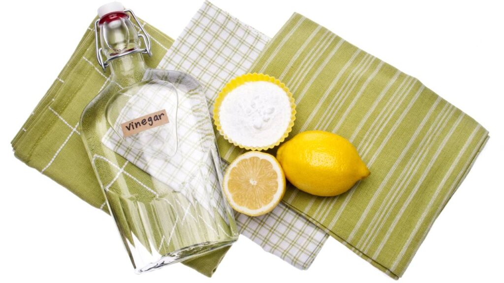 Esta dica evita que o mofo apareça no freezer