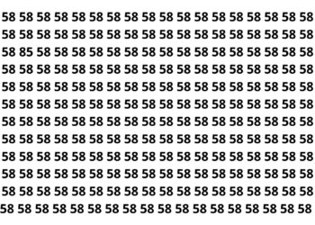 Somente 3 em cada 15 pessoas encontram o número 85 em menos de 8 segundos