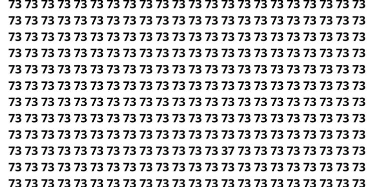 Apenas 2 em cada 15 pessoas encontram o número escondido em 4 segundos