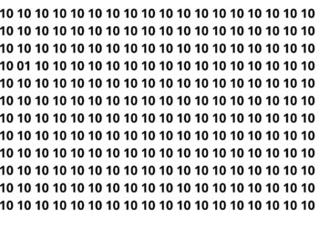 Só os mais rápidos encontram o número escondido em pouco tempo