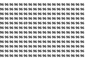 Somente os mais rápidos conseguem identificar o número escondido em 4 segundos