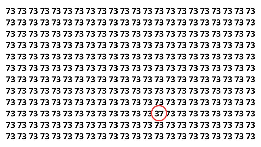 Apenas 2 em cada 15 pessoas encontram o número escondido em 4 segundos