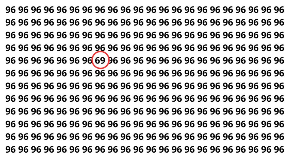 Somente os mais rápidos conseguem identificar o número escondido em 4 segundos