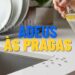 5 Ingredientes da despensa que ajudam a espantar pragas