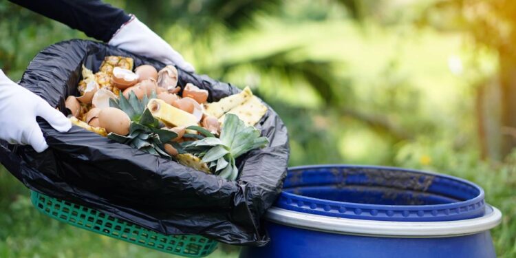 Adubo caseiro eficiente e seguro para diversas plantas com NPK 4148 para 2025