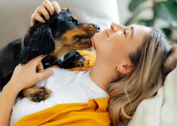 Nomes inspiradores para dar o seu cachorro carinhoso e com muito afeto pelo dono