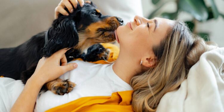 Nomes inspiradores para dar o seu cachorro carinhoso e com muito afeto pelo dono