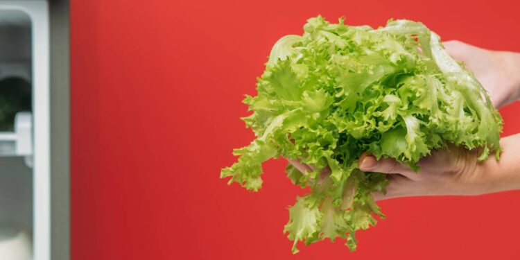 Alface fica fresca por 15 dias: use a técnica do “pote invertido” e acabe com o desperdício