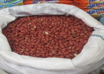 Protege o coração, melhora o humor e dá energia: os benefícios do amendoim