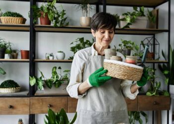 Babosa em casa: benefícios e cuidados no manuseio desta planta versátil