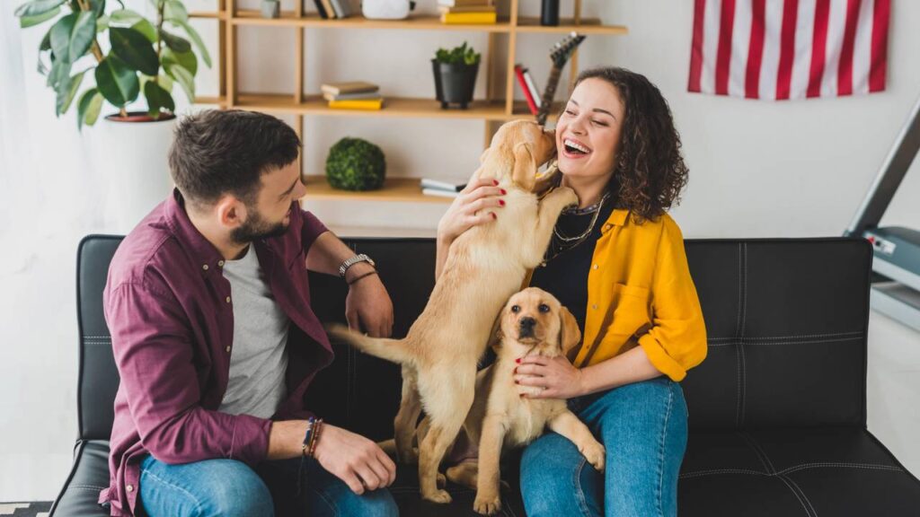 Nomes inspiradores para cães resgatados que viram membros da família