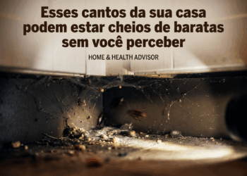 Locais da casa que podem estar cheios de baratas e você nem percebe