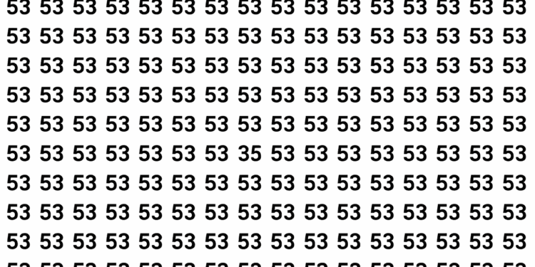 Só 3 em 50 acham o número 35 em 53 segundos neste puzzle