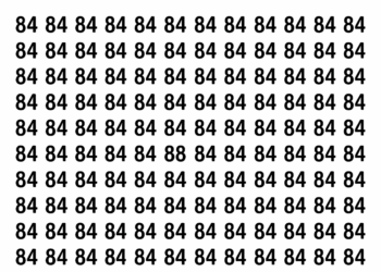 Encontre o número 88 entre vários 84 neste puzzle