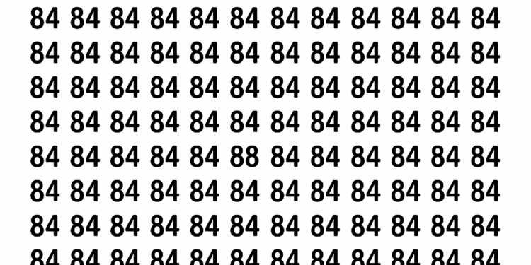 Encontre o número 88 entre vários 84 neste puzzle