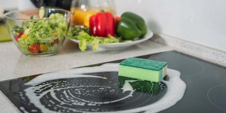 4 locais que quase ninguém limpa na cozinha, mas que as baratas amam ficar