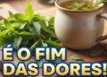 Diga adeus para as dores nas articulações com este chá