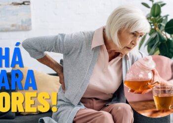 Apenas 4 folhas dessa planta e você terá um chá milagroso contra dores